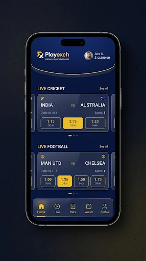 Play Exch Cricket Guide: Markets, Odds and Access