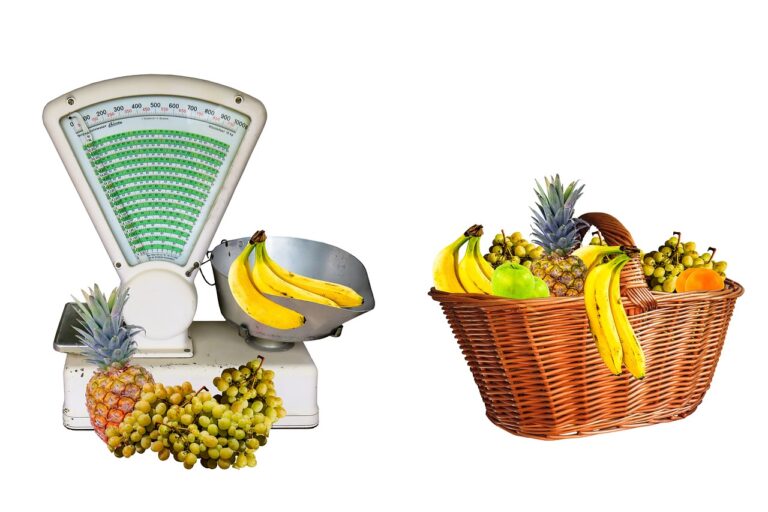 Understanding the Reddy Anna ID: A Comprehensive Guide to Its Features, Benefits, and Community Impact